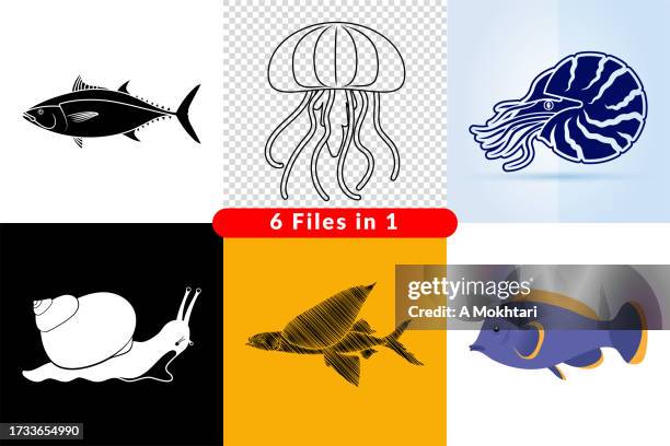 ilustraciones, imágenes clip art, dibujos animados e iconos de stock de conjunto de ilustraciones e iconos del mundo marino. - snail shell icon