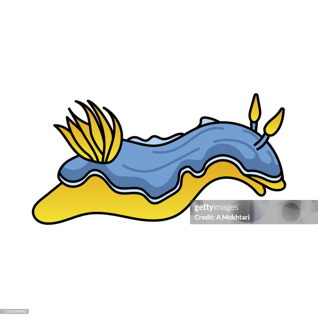 Nudibranch icon and illustration.