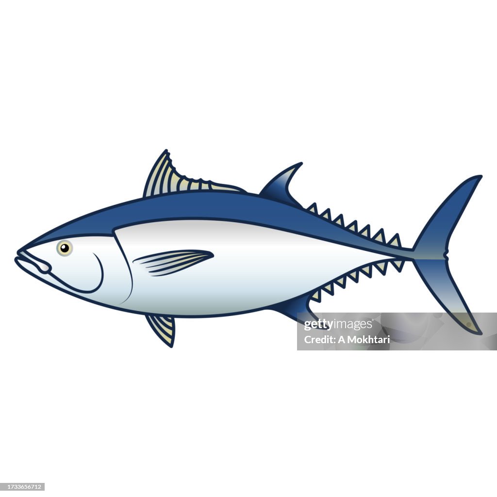 Tuna fish illustration.