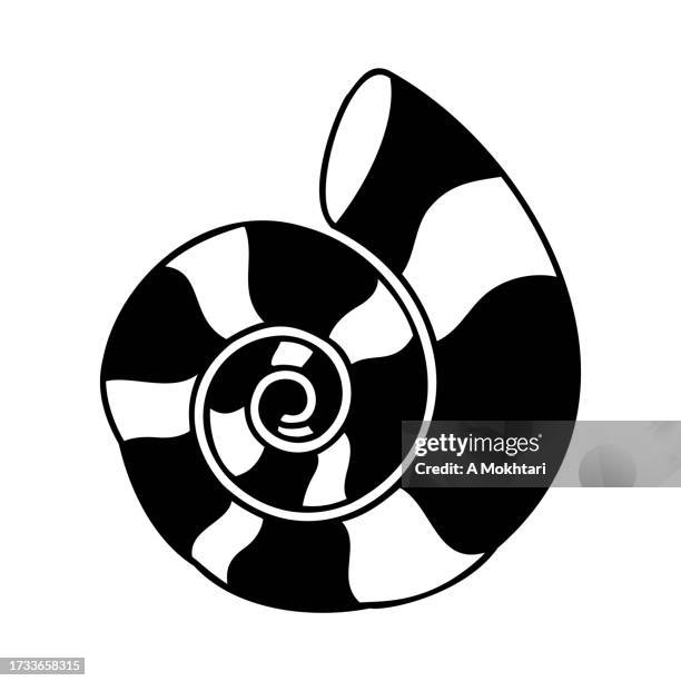 nautilus shell icon. - white seashell stock illustrations