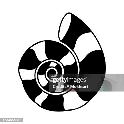 Nautilus shell icon. Nautilus shell icon.