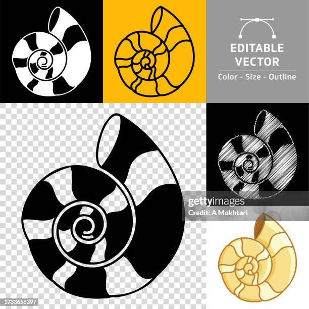 nautilus shell icon. - white seashell stock illustrations