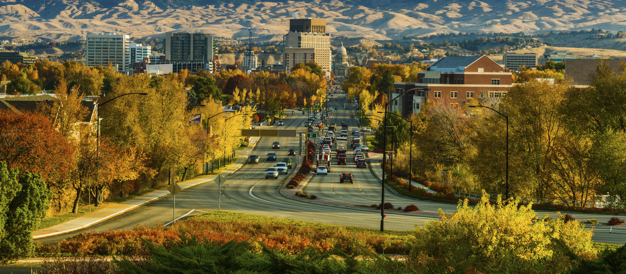 boise co-op