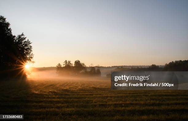 scenic view of field against sky during sunset - årstid stock pictures, royalty-free photos & images