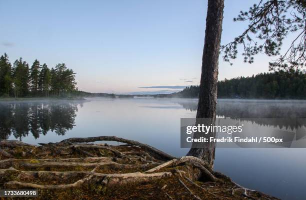 scenic view of lake against clear sky - årstid - fotografias e filmes do acervo