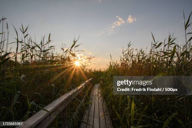 scenic view of field against sky during sunset - årstid - fotografias e filmes do acervo