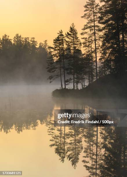 silhouette of trees by lake against sky during sunset - årstid - fotografias e filmes do acervo