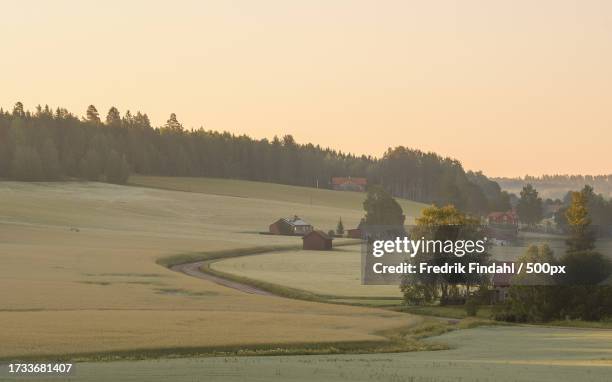 scenic view of field against clear sky - årstid stock-fotos und bilder