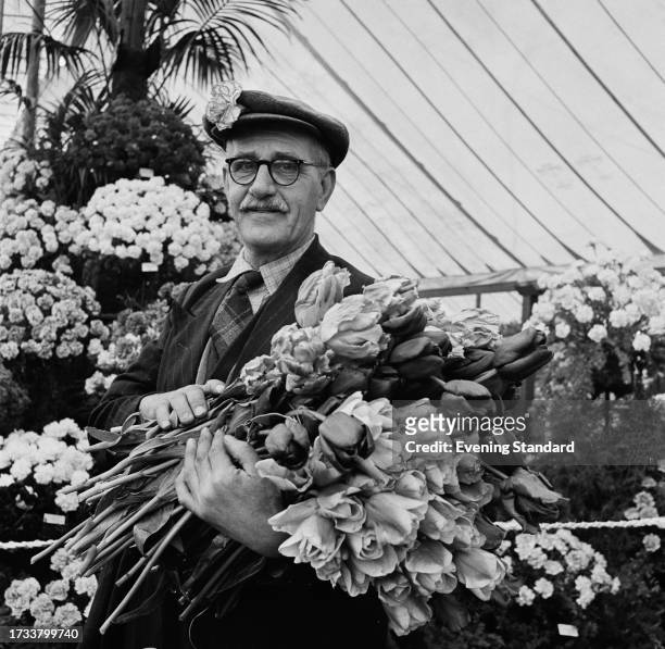 Garden designer holds a large bunch of tulips at the Chelsea Flower Show, London, May 20th 1958.