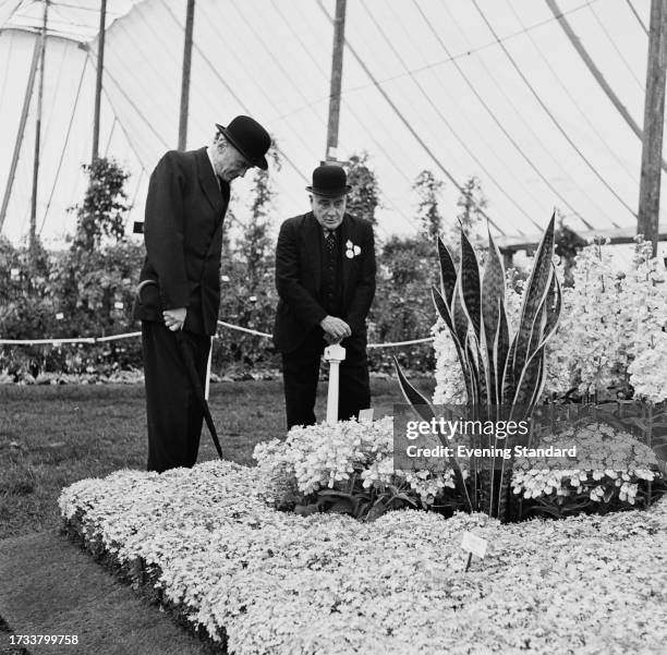 Two judges examine a floral display featuring a large snake plant at its centre, inside a marque at the Chelsea Flower Show, London, May 20th 1958.