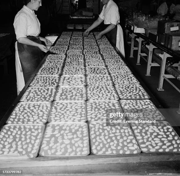 Workers at a cake assembly line with trays of almond tarts at the Sharp's Toffee factory, Maidstone, Kent, June 11th 1958.