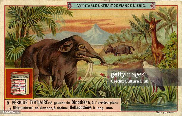 Geological Periods. Published 1892. Tertiary period . Translation: 'Left: Deinotherium; in background: Rhinoceros from Sansan, France; right:...