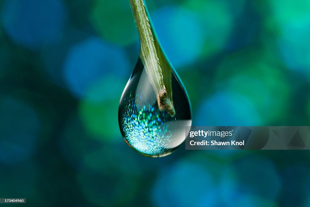 Droplet
