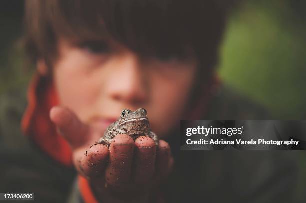 a little frog in his hands. - boy frog stock pictures, royalty-free photos & images