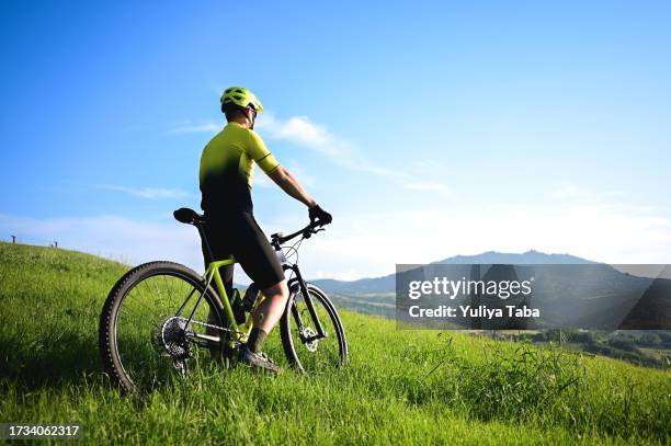 rear view of a mountain biker looking at panorama. - vista posterior stock pictures, royalty-free photos & images
