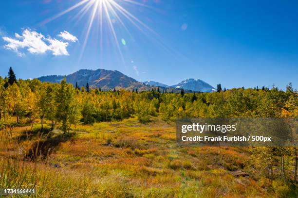 scenic view of landscape against bright sun,provo,utah,united states,usa - utah fotografías e imágenes de stock