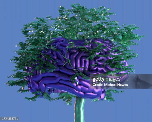 Tree Embedded 22 Iot Embedded Stock Photos, High-Res Pictures, and Images - Getty Images