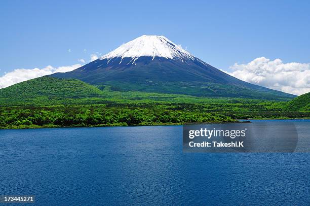 mount fuji and lake motosu-ko of early summer - yamanashi prefecture 個照片及圖片檔