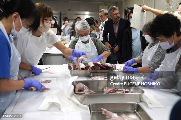 Local staff prepare crimson sea bream, one of the sample fish from Fukushima, for analysis of radioactivity as a team of experts from the...