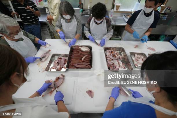 Local staff prepare crimson sea bream, one of the sample fish from Fukushima, for analysis of radioactivity as a team of experts from the...