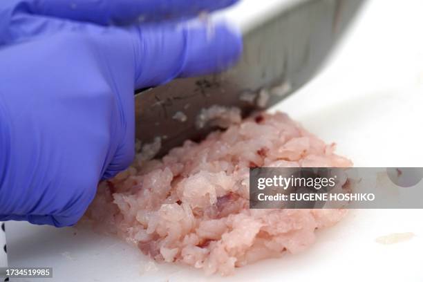 Local staff member prepares crimson sea bream, one of the sample fish from Fukushima, for analysis of radioactivity as a team of experts from the...