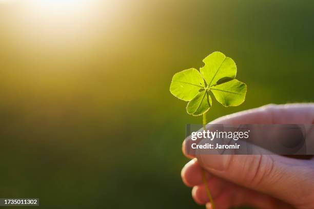 Cloverleaf 238 Partial Cloverleaf Stock Photos, High-Res Pictures, and Images ...