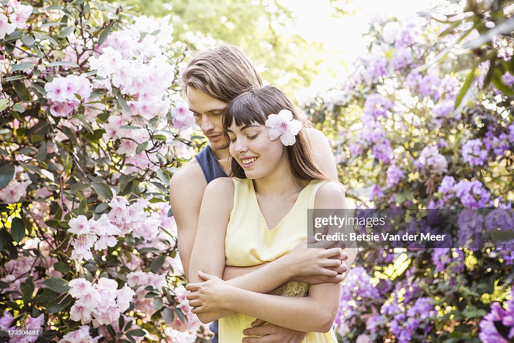 Couple embracing bewteen blossom bushes.