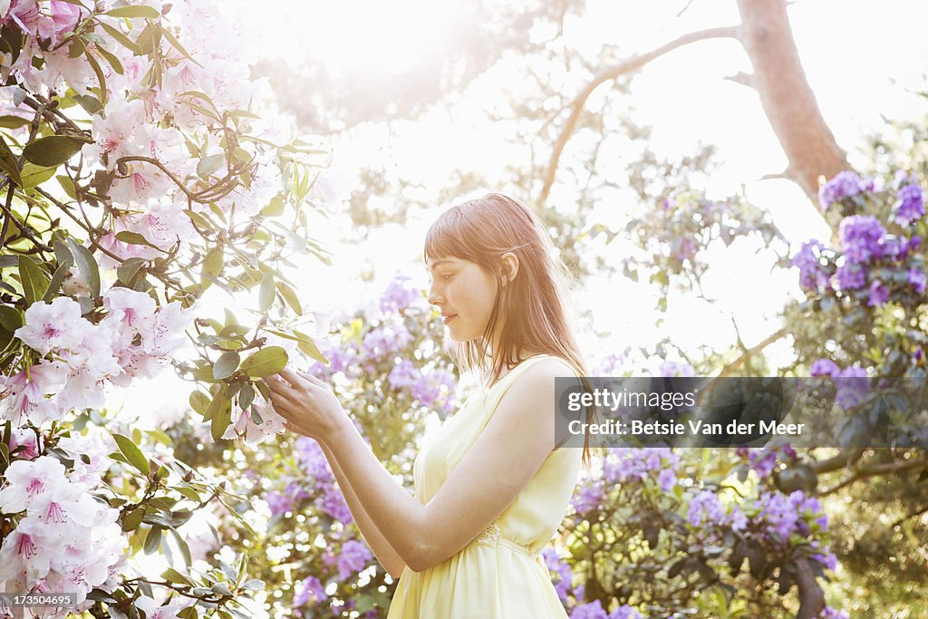 Woman touching flowers on bush.