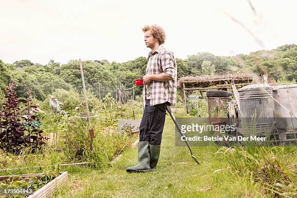 man having break in allotment. - side view vegetable garden stock pictures, royalty-free photos & images