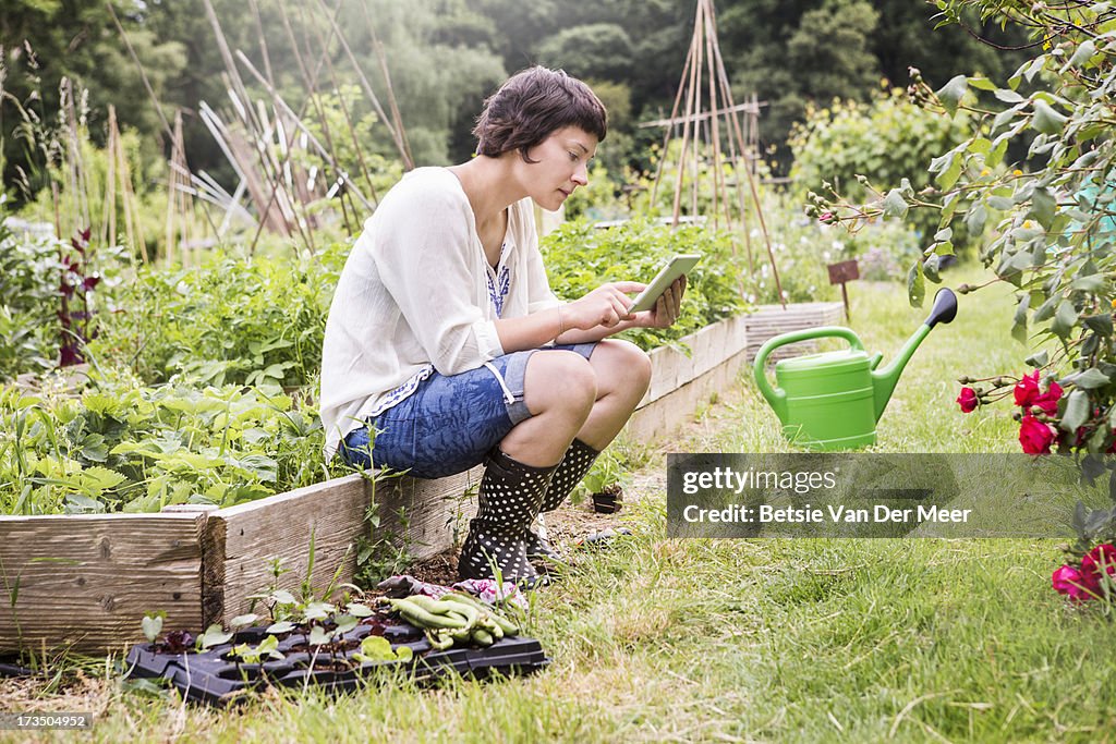 Woman checking wireless tablet in allotment.