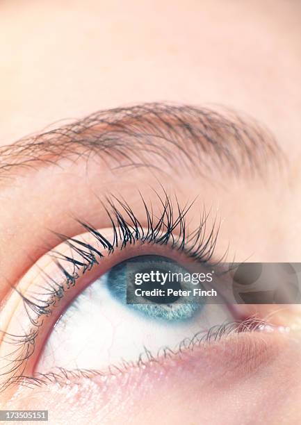 eye close-up - staring stock pictures, royalty-free photos & images