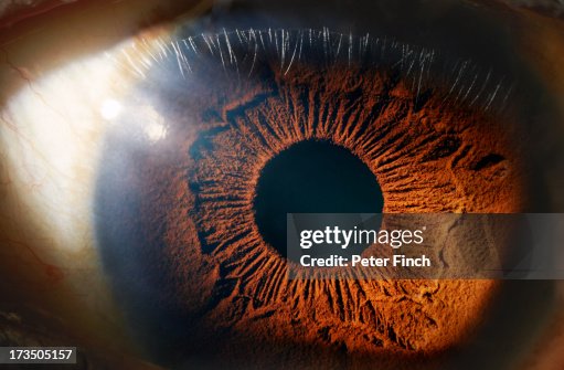 Eye close-up Eye close-up