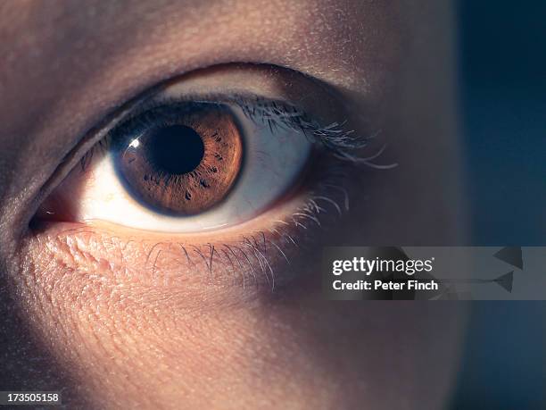 eye close-up - eyesight stockfoto's en -beelden