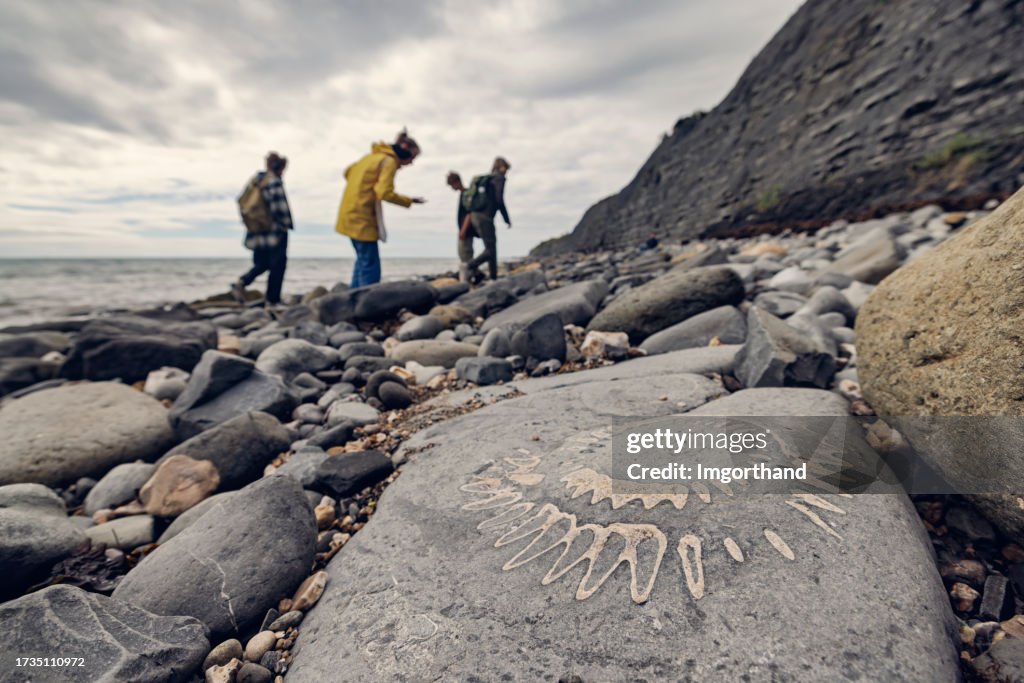 Family looking for fossils at the Lyme Regis Fossil Beach in Dorset, United Kingdom