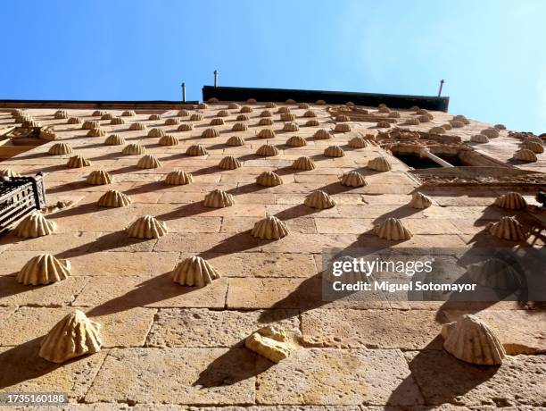 casa de las conchas - animal shell stock pictures, royalty-free photos & images