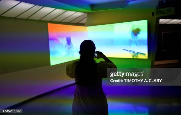 Person views artist Sondra Perry's "Double Quadruple Etcetera Etcetera I & II, 2013" during a press preview October 20, 2023 of a exhibition entitled...