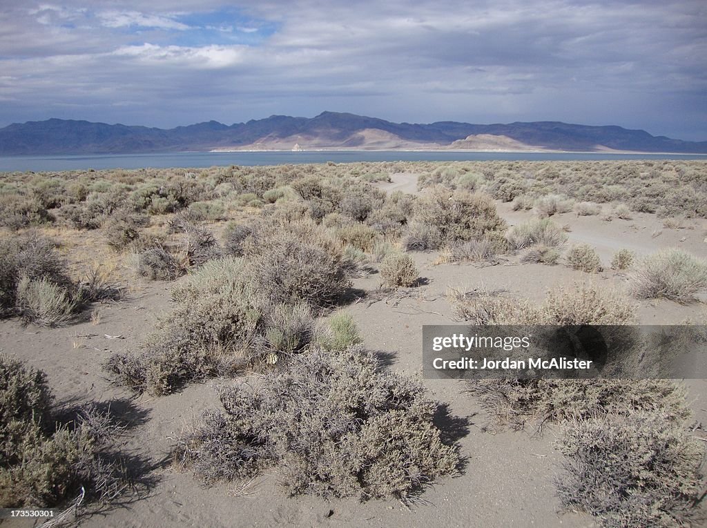 Pyramid Lake (Washoe County, Nevada)