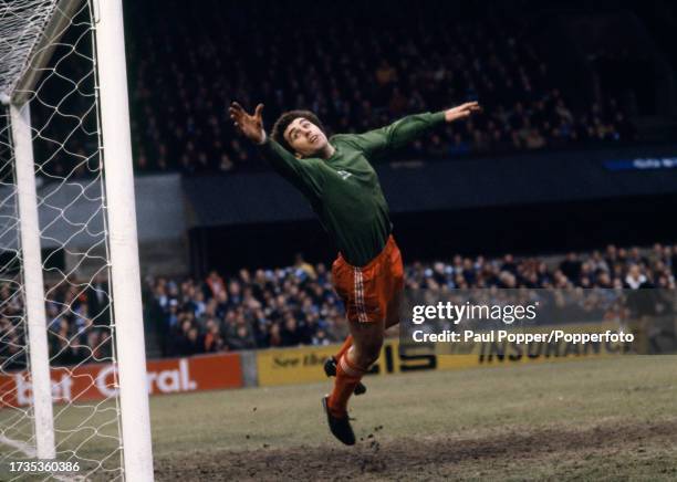 Nottingham Forest goalkeeper Peter Shilton in action during the Football League Division One match between Ipswich Town and Nottingham Forest at...