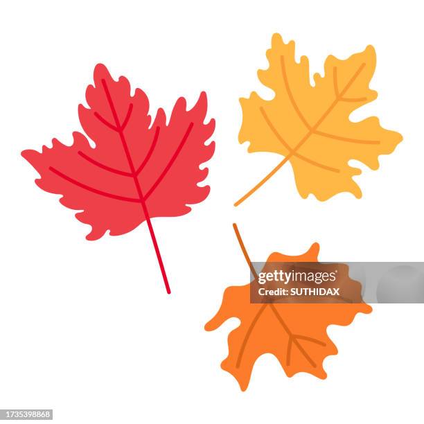 illustration of a leaf type one - celtic tree stock illustrations