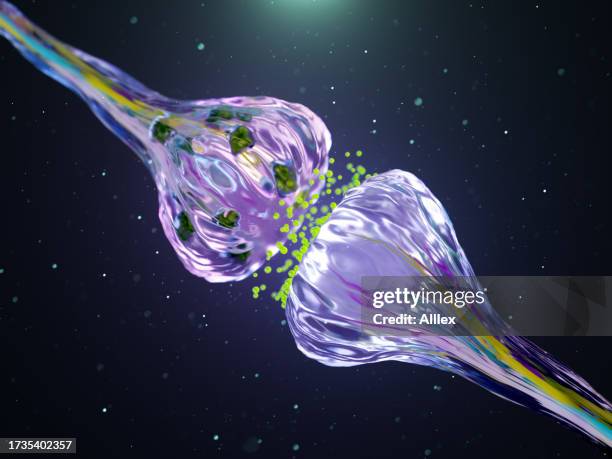 visualization of neurons firing neurotransmitters in the synaptic gap. - neurotransmissor imagens e fotografias de stock