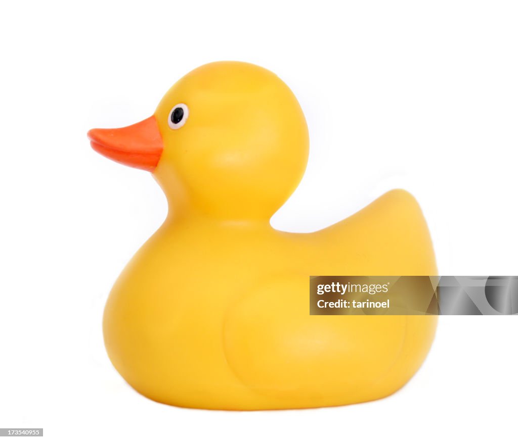 Sólo Ducky 6