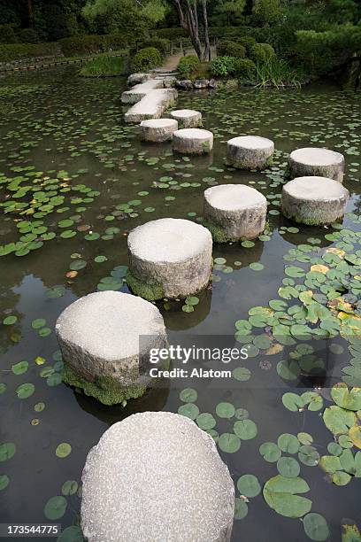 stepping stones lily pads pond - the next step stock pictures, royalty-free photos & images