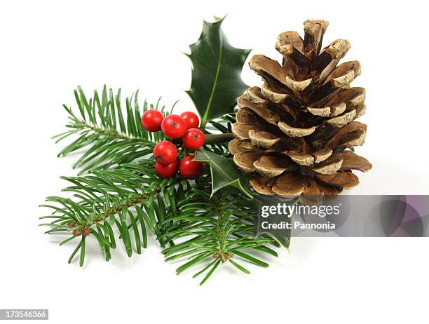 christmas setting - pinecone stock pictures, royalty-free photos & images