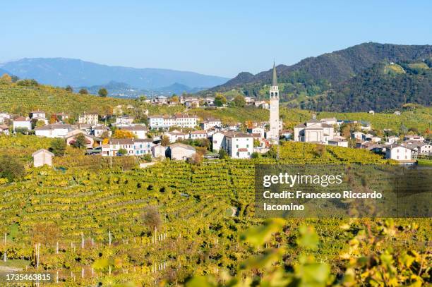 valdobbiadene (treviso), veneto, italy. vineyards and hills of prosecco sparkling white wine. aerial view - veneto vineyard stock pictures, royalty-free photos & images