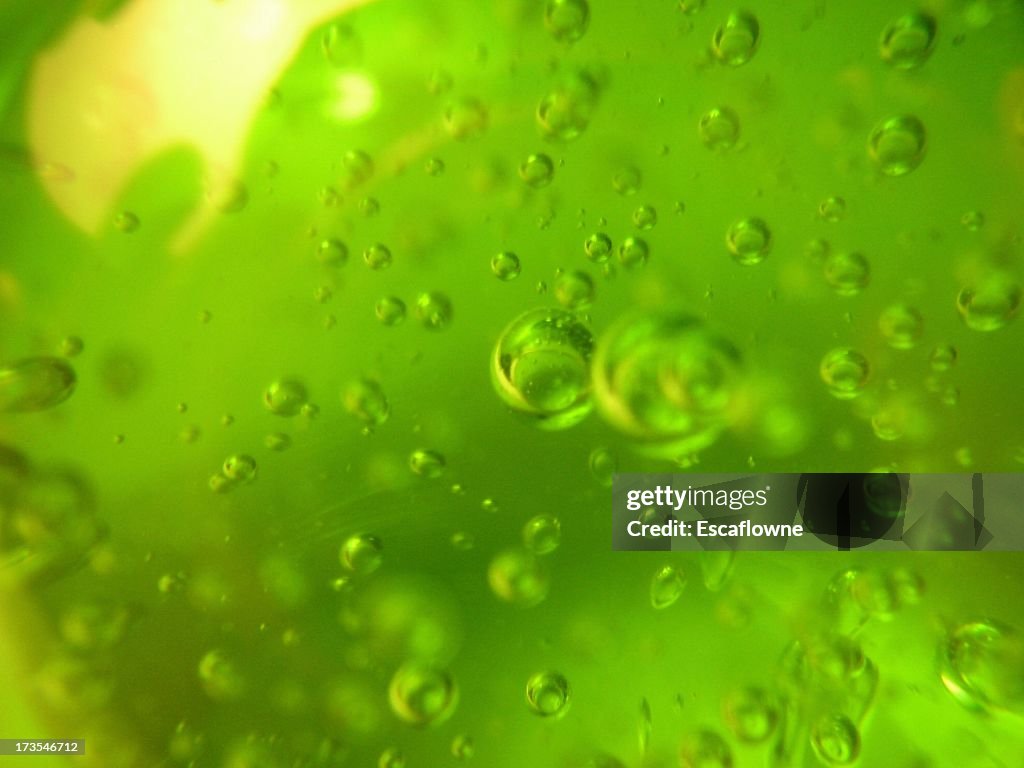 Green bubbles