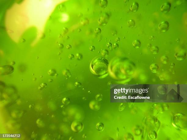 green bubbles - slime bildbanksfoton och bilder
