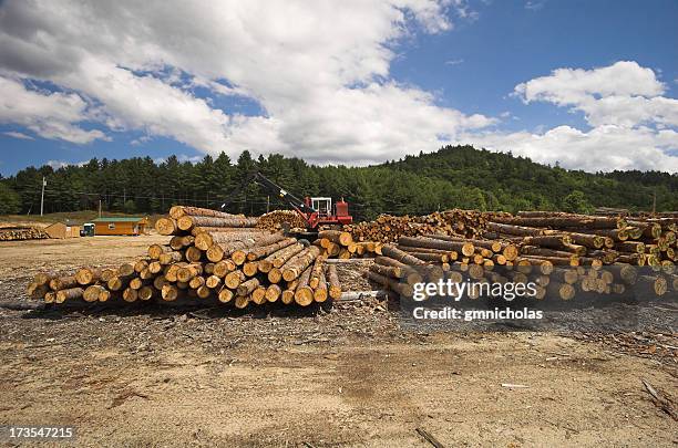 log yard - maine logging stock pictures, royalty-free photos & images