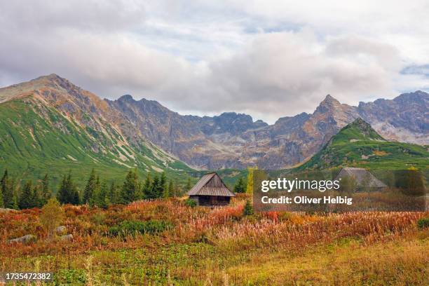 dolina gąsienicowa (gąsienicowa valley) is a picturesque valley in the tatra mountains in poland. - tatra national park stock pictures, royalty-free photos & images