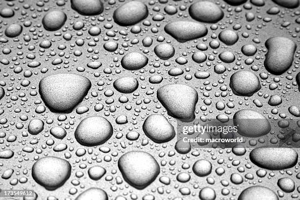 rain drops - auto druppel stockfoto's en -beelden