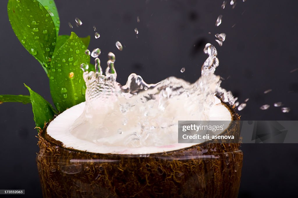 Action shot of half a coconut splashing milk